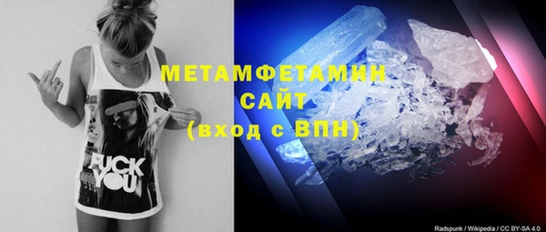 мет Алексин