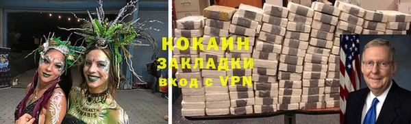 мет Алексин